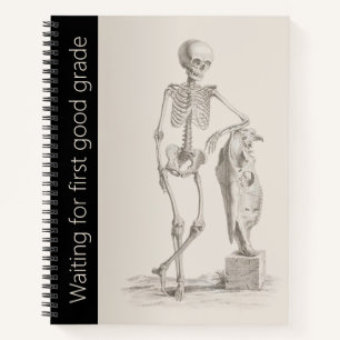 Funny Skeleton School, Carnet spirituel universita