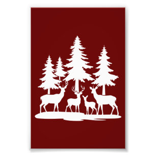 Funny Skinny Pine Tree Summer Hiking Camping  Photo Print