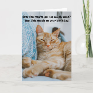 Funny Sleeping Cat Birthday Greeting Card