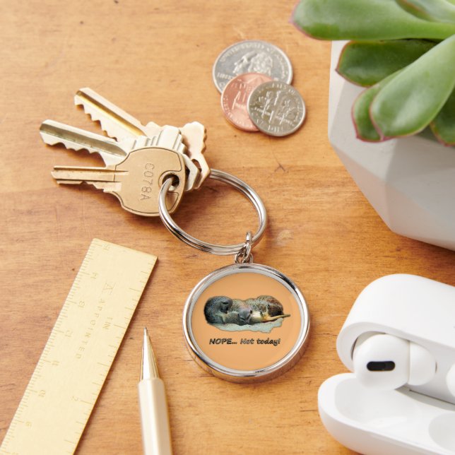 Funny, sleeping meerkats keychain (Desk)