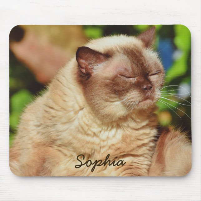 Funny Sleepy Cat&For Kitten Lovers Mouse Pad (Front)