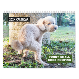 Funny Small Dogs Pooping 2026 Calendar