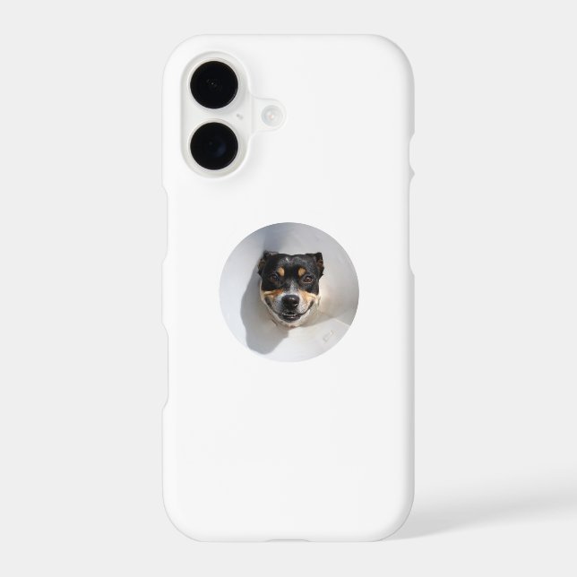 Funny smiling dog (Back)