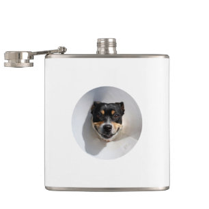 Funny smiling dog flask