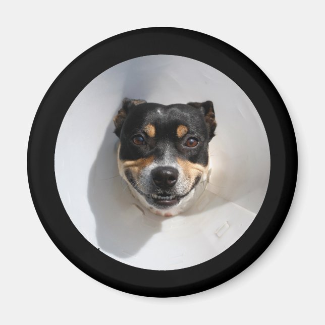 Funny smiling dog magnet (Front)