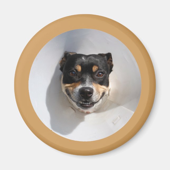 Funny smiling dog magnet (Front)