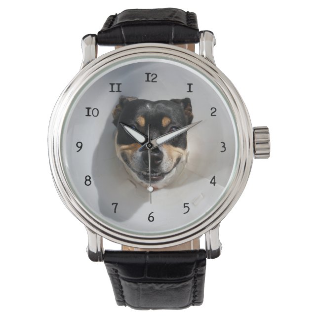 Funny smiling dog watch (Front)