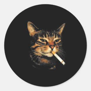 Funny Smoking Cat Cigarette Kitten Meme Stupid Bra Classic Round Sticker