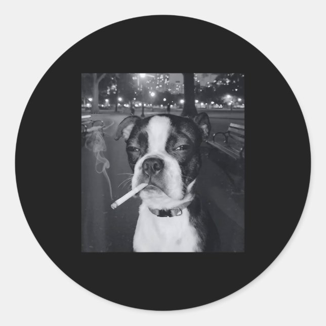 Funny Smoking Dog Meme Cigarette Gen Z Meme Dog Lo Classic Round Sticker (Front)