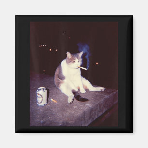 Funny Smoking Meme Cigarette Kitten Brainrot Silly Magnet