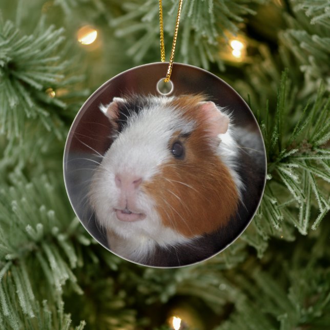 Funny, Smooth, Tricolor Guinea Pig Face Ceramic Ornament (Tree)