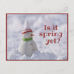 Funny Snowman Grey Carte postale