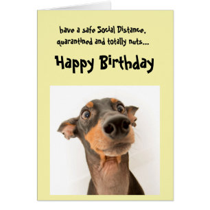 Funny Social Distancing Birthday Mini Doberman Dog