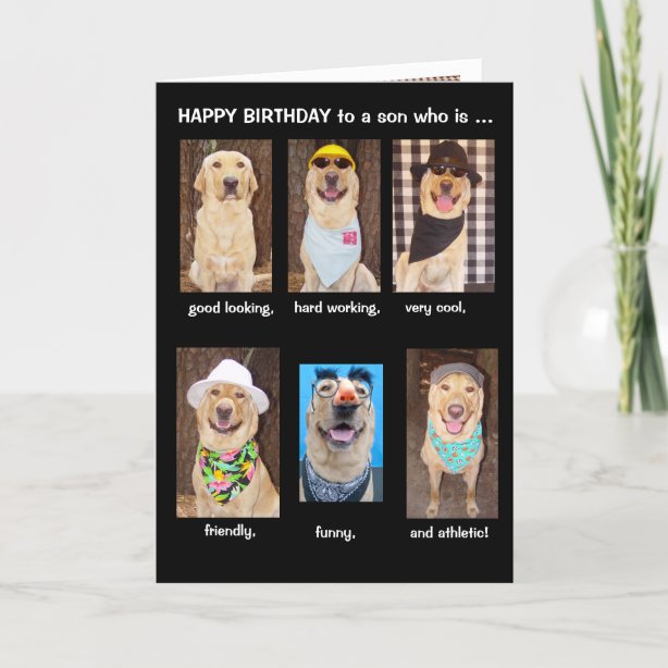 cool cards greeting cards more zazzle ca