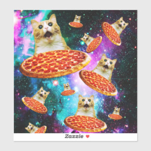 Funny space pizza cat