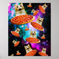 Funny space pizza cat