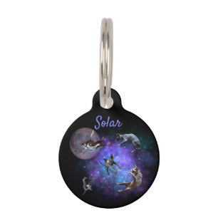 Funny Space Sphynx Cats Floating Galaxy Cat Pet Tag