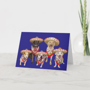 Funny Spanish Birthday from Group Holiday Card