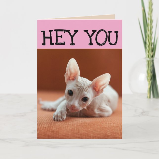 FUNNY SPHYNX CAT BIRTHDAY GREETING CARDS (Front)