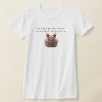Funny Sphynx Cat
