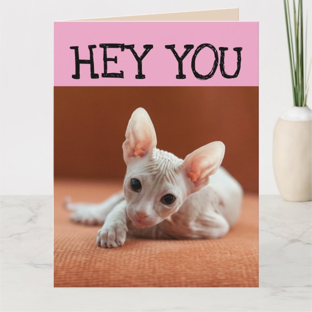 FUNNY SPHYNX CHAT CARTES DE SALUT D'ANNIVERSAIRE (Devant)