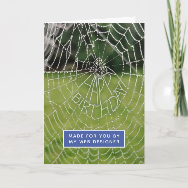 Funny Spider Web Web Designer Birthday Card (Front)