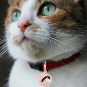 Funny Spoiled Calico Feed Cat Pink Pet Tag