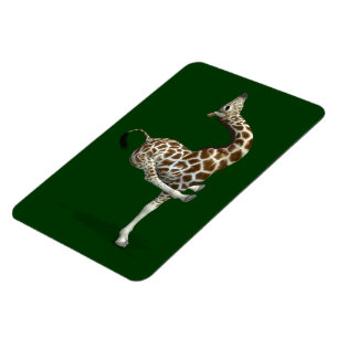 Funny Sporty Giraffe Magnet