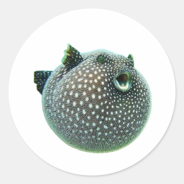 ​Funny Spotted Puffer Fish Sticker - Blowfish Mari (Front)