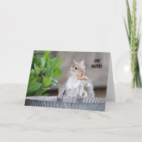 Funny Squirrel Belated Birthday