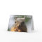 Funny Squirrel Birthday Card