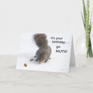 Funny squirrel birthday card - Go nuts