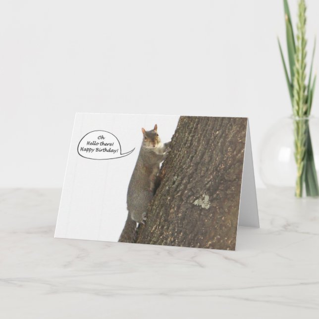 Funny squirrel birthday card - Hello there (Front)