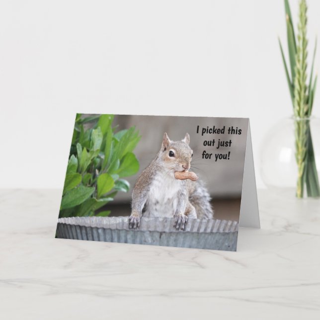 Funny squirrel Birthday for dear friend Card (Front)