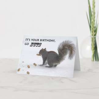 Funny squirrel birthday greeting card