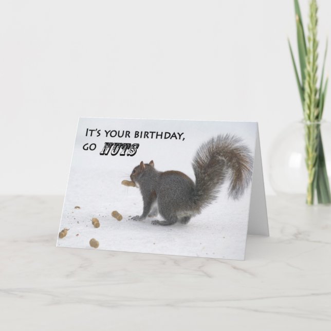 Funny squirrel birthday greeting card (Front)