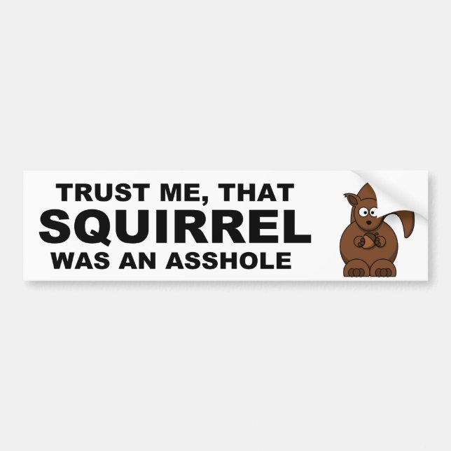 Funny squirrel bumper sticker (Front)