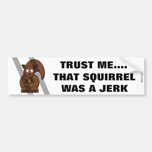 Funny Squirrel Bumper Sticker (Front)