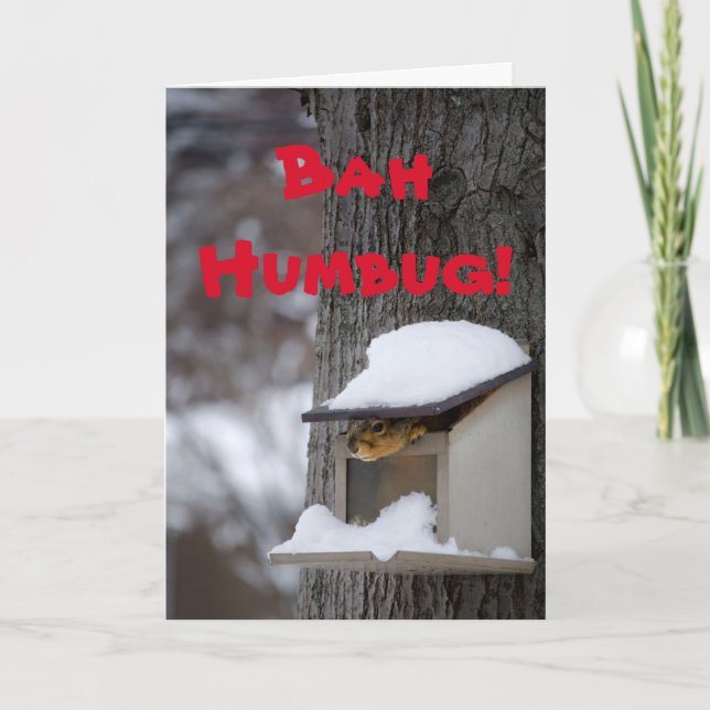 Funny Squirrel Christmas greeting card (Front)