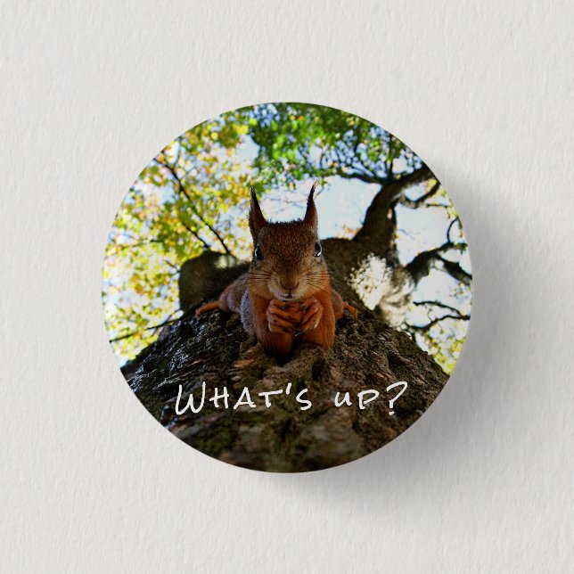 Funny Squirrel Cute Animals Hello There From Hi 1 Inch Round Button (Front)