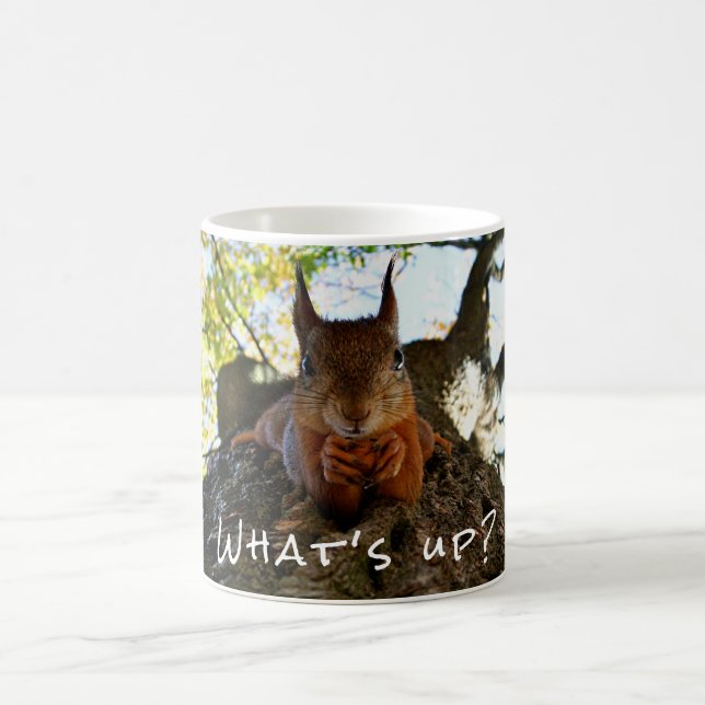 Funny Squirrel Cute Animals Hello There From Hi Coffee Mug (Center)