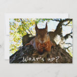 Funny Squirrel Cute Animals Hello There From Hi Holiday Card<br><div class="desc">The "Funny Squirrel Cute Animals Hello There From Hi Holiday Card" is a delightful and charming greeting card available at Base Reality. This card features an adorable illustration of a squirrel, adding a touch of cuteness to any holiday season. The design showcases the squirrel in a playful and humourous manner...</div>