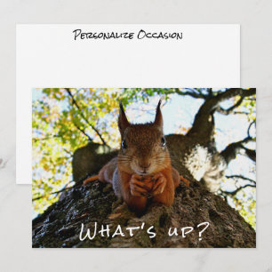 Funny Squirrel Cute Animals Hello There from Hi Holiday Card
