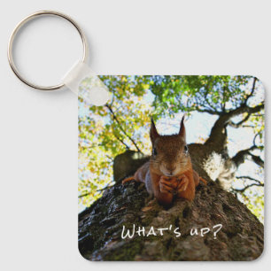 Funny Squirrel Cute Animals Hello There From Hi Keychain