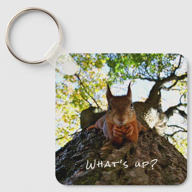 Funny Squirrel Cute Animals Hello There From Hi Keychain (Front)
