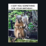 Funny Squirrel Deez Nuts Inappropriate Birthday Postcard<br><div class="desc">I got you something for your birthday... DEEZ NUTS! A hilarious squirrel play on words joke about his nuts. Crude humour for an adult's birthday. Make your friends laugh with this pop culture quote on a funny postcard.</div>