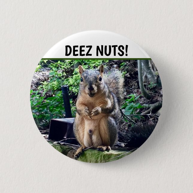 Funny Squirrel Deez Nuts Inappropriate Humour Phot 2 Inch Round Button (Front)