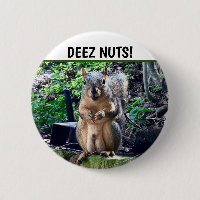 Funny Squirrel Deez Nuts Inappropriate Humour Phot