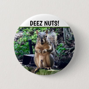 Funny Squirrel Deez Nuts Inappropriate Humour Phot 2 Inch Round Button