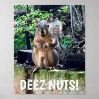 Funny Squirrel Deez Nuts Inappropriate Humour